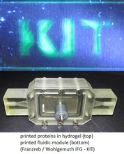 Printed hydrogel and fluidic module at IFG_KIT